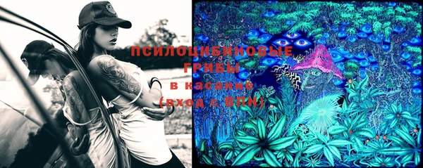 ПСИЛОЦИБИНОВЫЕ ГРИБЫ Вязники