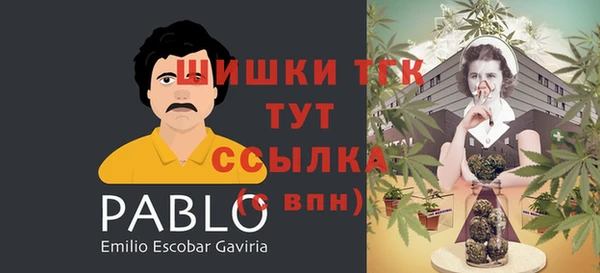 ПСИЛОЦИБИНОВЫЕ ГРИБЫ Вязники