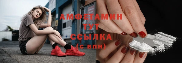 ПСИЛОЦИБИНОВЫЕ ГРИБЫ Вязники