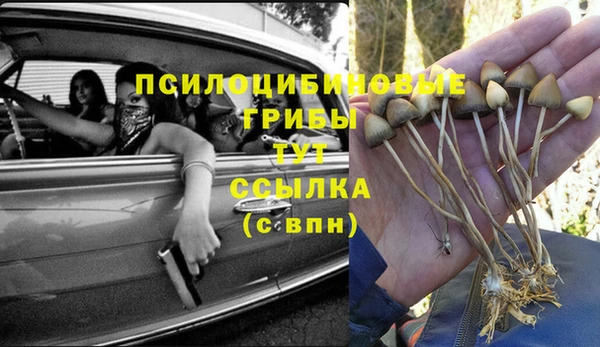 ALPHA-PVP Вяземский