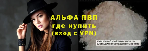 ПСИЛОЦИБИНОВЫЕ ГРИБЫ Вязники