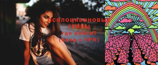ALPHA-PVP Вяземский