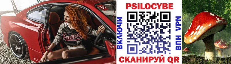 Галлюциногенные грибы Psilocybe  как найти наркотики  Хабаровск 